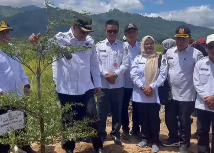 Gerakan Tanam Pohon Warnai HUT Jambi ke-69 di Kota Sungai Penuh