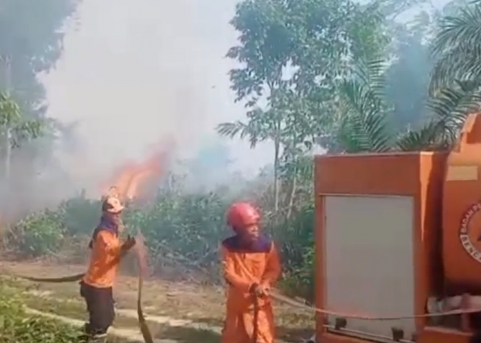 2 Hektar Lahan Sawit Di Desa Tambun Narang Terbakar 