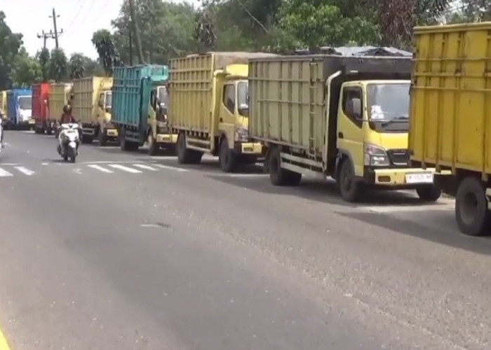 Angkutan Batu Bara di Jalan Umum Dihentikan, Sopir Akan Diberikan BLT Selama 3 Bulan 