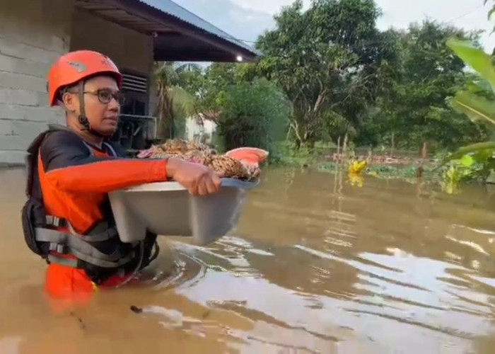 Banjir Menerjang Ratusan Rumah di Bungo, Timsar Evakuasi 2 Bayi dan Belasan Lansia
