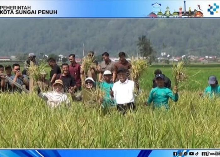 Wawako Azhar Hamzah Hadiri Tanam Perdana Padi Teknologi PM AAS di Sungai Penuh