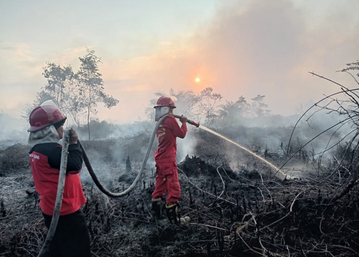 Puluhan Hektar Lahan Terbakar di Kecamatan Air Hitam Sarolangun, Sudah 3 Hari Berjibaku Padamkan Api