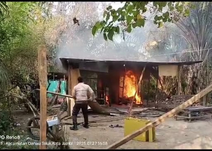 Gerebek Pulau Pandan, Polisi Tangkap 9 Orang Tersangka Narkoba, Basecamp di Bakar