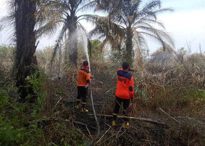 6 Hektar Lahan di Pudak Terbakar, Api Berhasil Dipadamkan Dalam Waktu 3 Jam