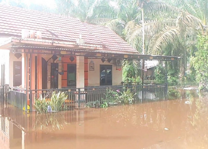 Puluhan Rumah Warga Desa Suka Maju Terendam Banjir