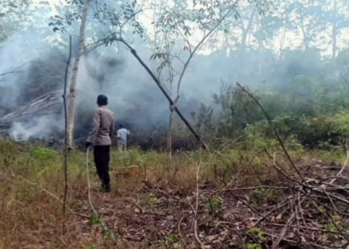 Polisi Tetapkan Tiga Tersangka Pembakaran Lahan di Kabupaten Batanghari