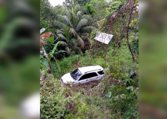 Kecelakaan Tunggal di Batanghari, Toyota Rush Terjun Masuk Ke Rawa