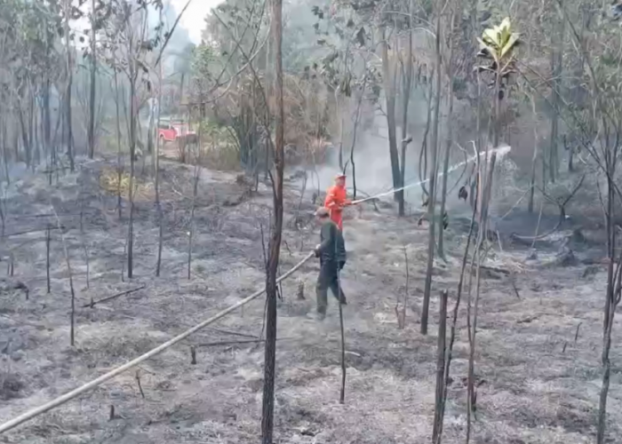 Karhutla di Batanghari Terluas Se-Provinsi Jambi