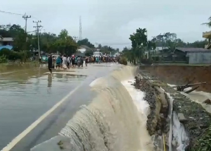 Cuaca Ekstrem di Bungo Sebabkan Jalan Nasional Terendam dan Tertutup Pohon Tumbang