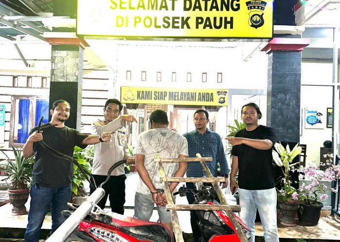 Pelaku Pencurian Kabel PLN di Desa Batu Ampar Berhasil Di Tangkap 