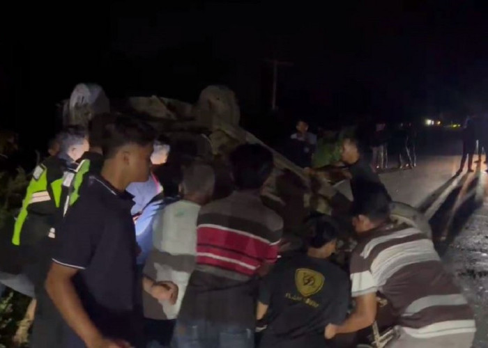 Gara-Gara Hilang Kendali Saat Mengemudi, Mobil Calya Dan Sigra Adu Kambing Di Jalan Lintas Sarolangun -  Jambi
