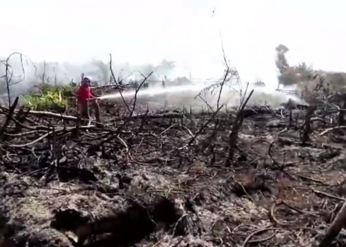 Dalam Sehari, 13 Hotspot Ditemukan di Kabupaten Sarolangun