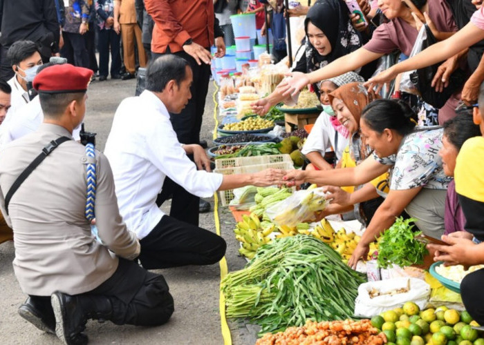 Presiden Jokowi dan Gubernur Al Haris Kunjungi Pasar Muara Bungo, Perintahkan Menteri PUPR Perbaiki Pasar