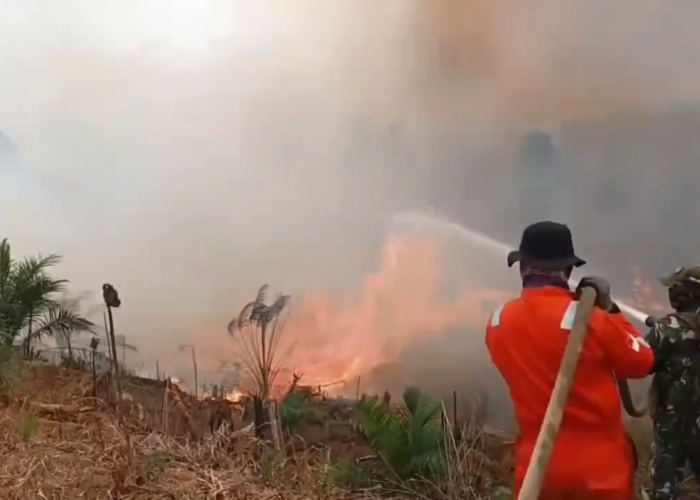 Karhutla di Batang Hari Hanguskan 1.497 Hektare Hutan dan Lahan