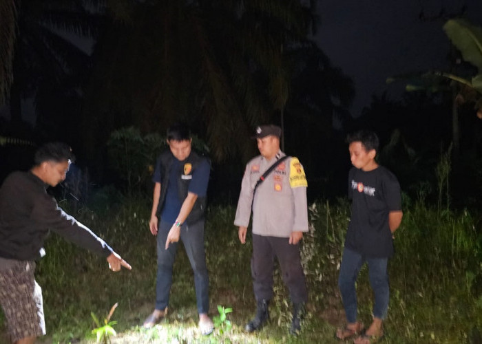 Petani Sawit di Sungai Bahar Ditemukan Tewas di Kebun, Diduga Tersengat Kabel Listrik PLN
