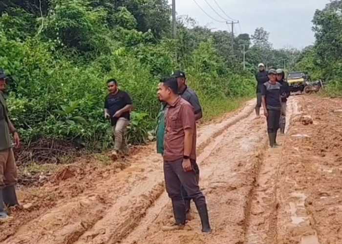 Jalan Pauh Timur Rusak Parah, Pemerintah Pusat Dikabarkan Beri Bantuan Perbaikan Tahun 2026