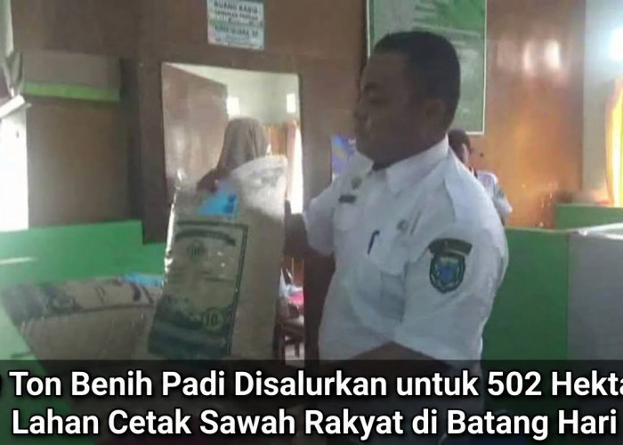 20 Ton Benih Padi Disalurkan untuk 502 Hektare Lahan Cetak Sawah Rakyat di Batang Hari