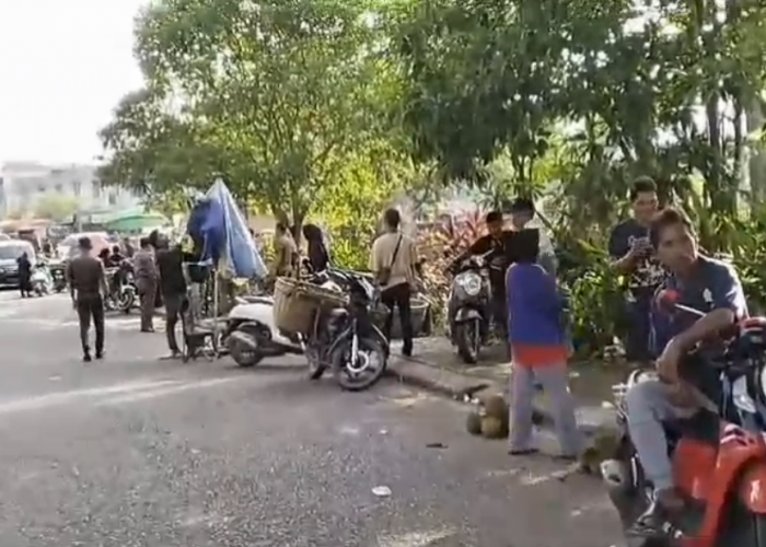 Satpol PP Bungo Tertibkan Pedagang Durian di Taman Angso Duo, Pedagang Akui Sudah Bayar Retribusi