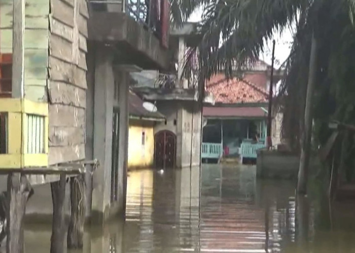 Debit Air Sungai di Kabupaten Batanghari Kembali Naik Hampir 1 Meter