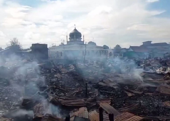 Desa Sungai Dualap Tanjab Barat Membara, 50 Unit Bangunan Ludes Terbakar