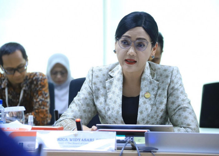 Apresiasi Reformasi OJK Dalam Sektor Asuransi Dan Dana Pensiun, OJK Terima Delegasi Fact-Finding Mission OECD