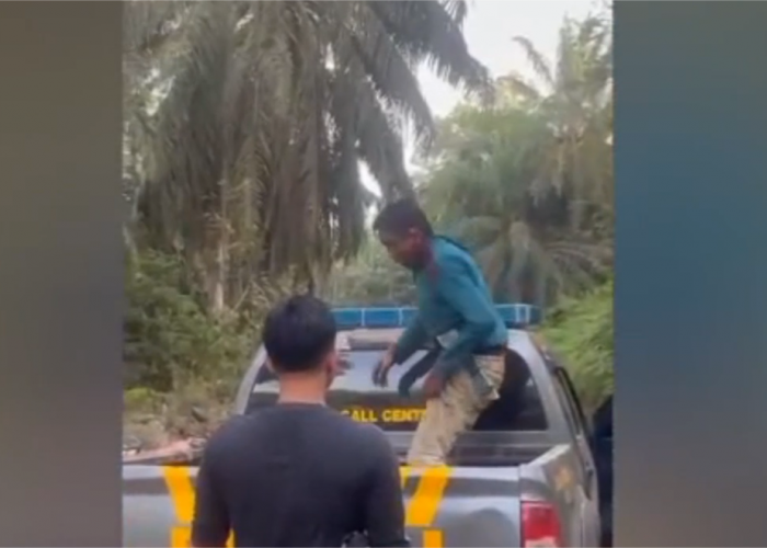 Hampir 1 Ton Sawit Dicuri, Warga Batang Hari Bertindak Tegas