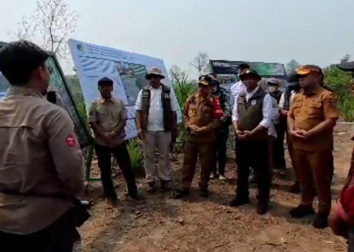 Sambangi Tebo, Menhut Dengarkan Paparan Perusahaan soal Habitat Gajah