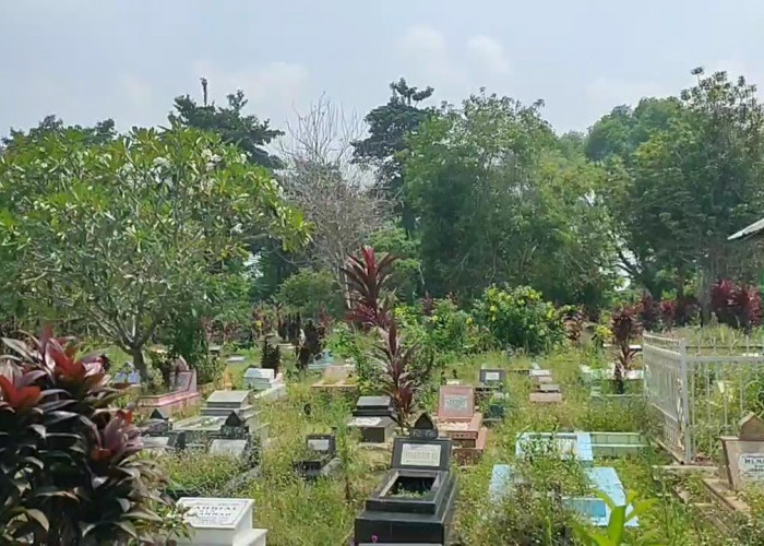 Waduh !!! Rata-Rata Pemakaman di Kota Jambi Hampir Penuh, Hanya Tersisa 10 Persen Makam Saja 