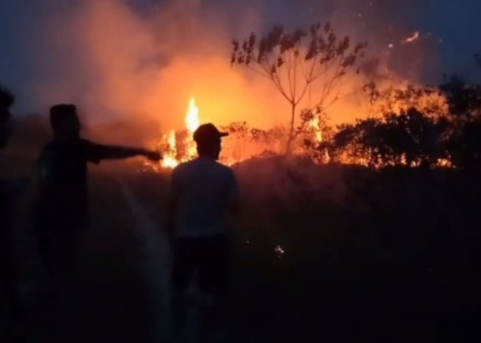 Hingga Agustus, 77 Hektar Lahan di Kabupaten Batanghari Hangus Terbakar