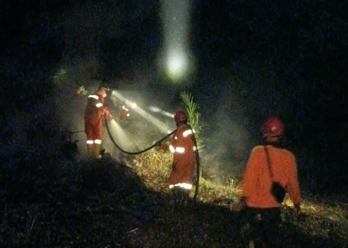 Kebakaran Lahan Melanda Desa Kilangan, BPBD Batang Hari Turunkan Petugas Padamkan Api