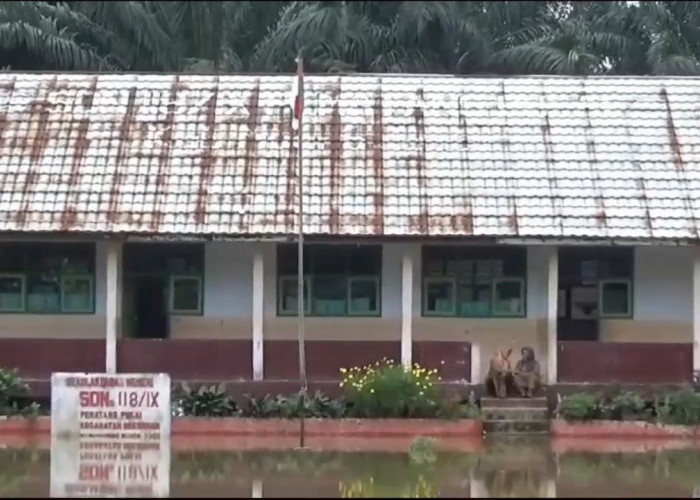 Banjir di Muaro Jambi Rendamm 81 Sekolah, Pembelajaran Terpaksa Lewat Daring