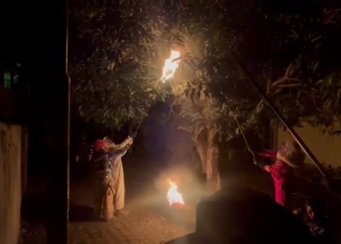 Tim Rescue Damkarmat Batang Hari Musnahkan Sarang Lebah Dekat SDN 13 Muara Bulian