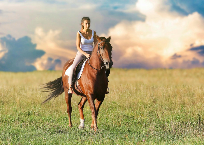 5 Tips Belajar Olahraga Berkuda Untuk Pemula, Harus Berani dan Tenang