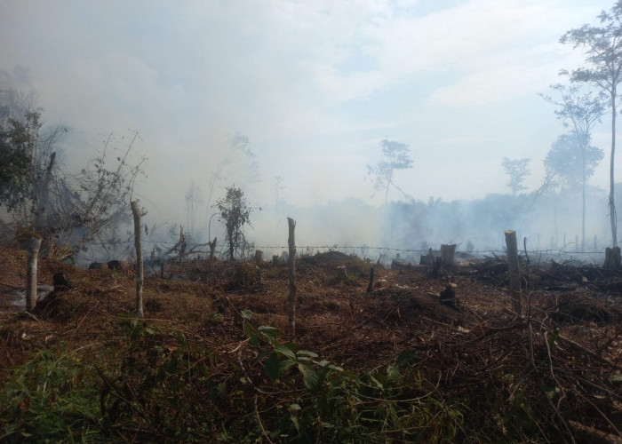 Lahan Seluas 1 Hektar Dekat Pemukiman Warga Terbakar