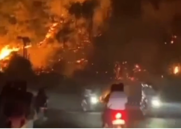 Kebakaran Lahan Kosong di Mestong Bikin Panik Pengguna Jalan