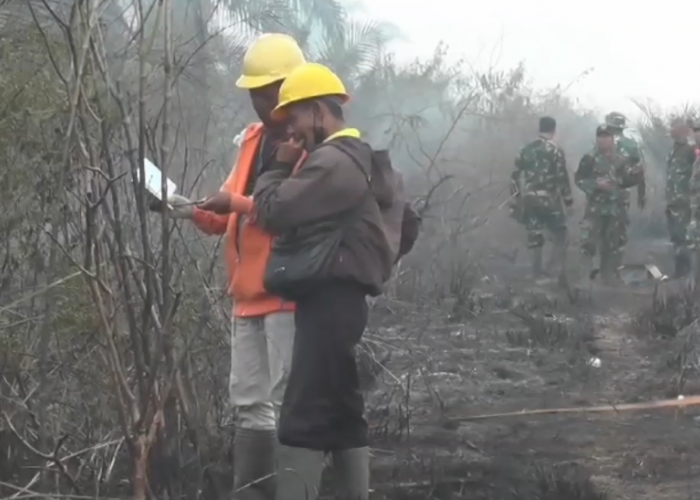 Karena Ulah Tangan Manusia, Seluas 325 Hektare Lahan di Jambi Sudah Terbakar 