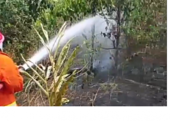 Lahan Warga di Bukit Baling Terbakar, 4.000 Liter Air Dikerahkan untuk Padamkan Api