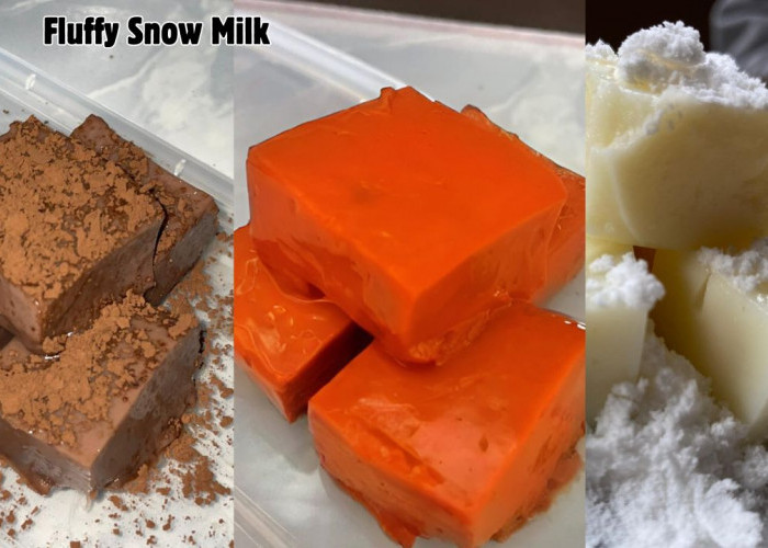 Fluffy Snow Milk Camilan Sehat, Aman dan Lezat Buatan 4 Mahasiswi Unja, Bisa Tahan 3 Hari di Lemari Es