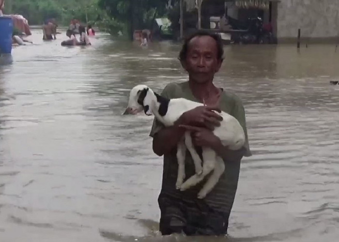 Akibat Hujan Deras, Ratusan Rumah Warga di Desa Tangkit Diterjang Banjir