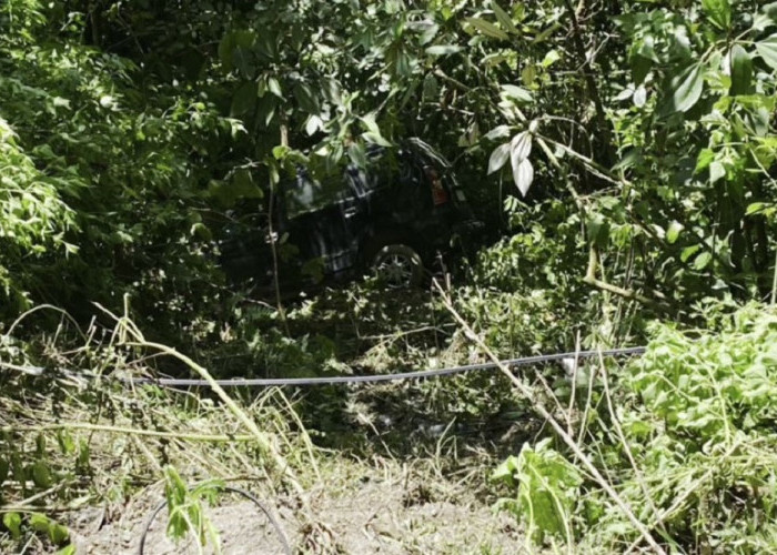 Mobil Avanza Terjun Masuk Jurang Di Jalan Nasional Sungai Penuh - Pesisir Selatan, Pengemudi Hilang Misterius