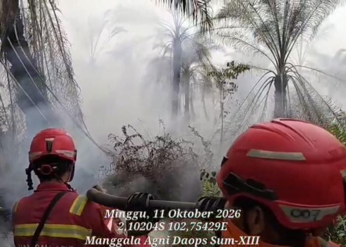 Sempat Redup, 20 Hektare Lahan Gambut Di Air Hitam Kembali Terbakar