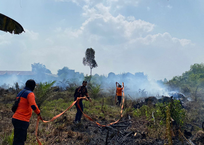 Lahan Mineral Seluas 700 Meter Milik Masyarakat di Pijoan Terbakar