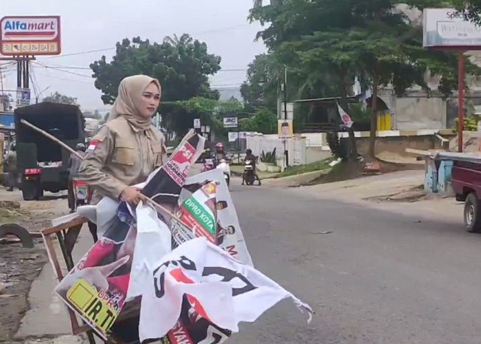Masa Tenang Pemilu, APK Di Sepanjang Jalan Kota Jambi Ditertibkan