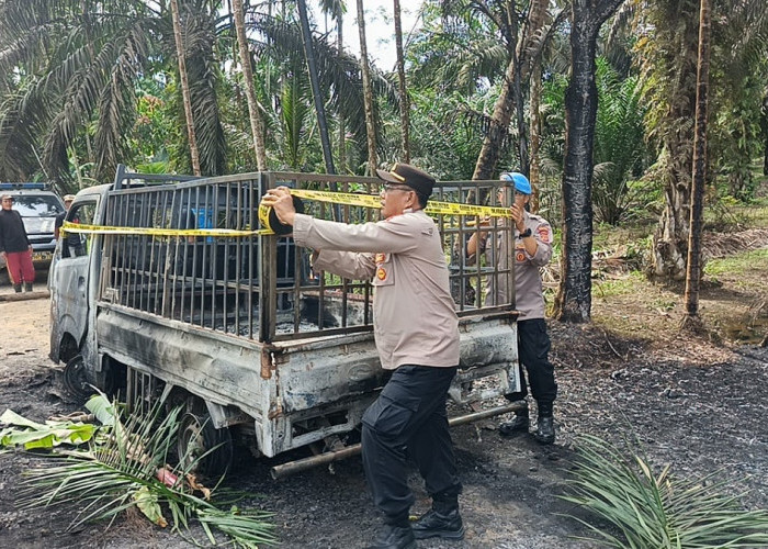 Suzuki Carry Terbakar di Tengah Jalan, Kobaran Api Sambar Kabel PLN