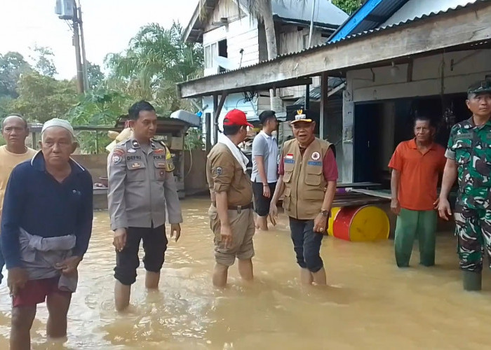 Gawat !!! Banjir Kiriman Bungo Sudah Sampai ke Tebo, Puluhan Rumah di Desa Aburan Terendam