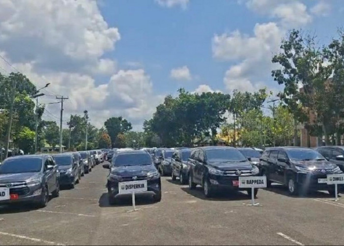 Efisiensi Anggaran! Pemkab Muaro Jambi Stop Sewa Mobil Dinas, Puluhan Kendaraan Ditarik Bertahap