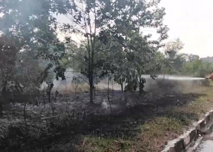 Lahan Eks Arena MTQ Muara Bulian Terbakar, Diduga Dipicu Pembakaran Sampah