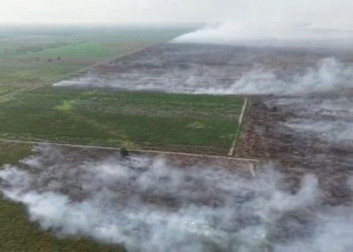 Manggala Agni Kerahkan 104 Personel Tambahan, Padamkan Karhutla di 8 Titik di Jambi