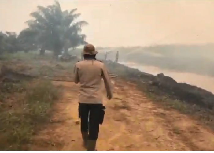 Karhutla Landa Kawasan Tahura Muaro Jambi, Tim Gabungan Berjuang Padamkan Api