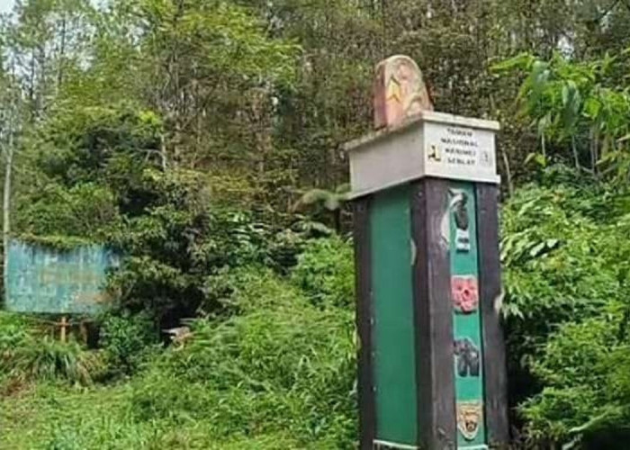 BBTNKS Imbau Warga Tak Buka Lahan di Kawasan TN Kerinci Seblat 